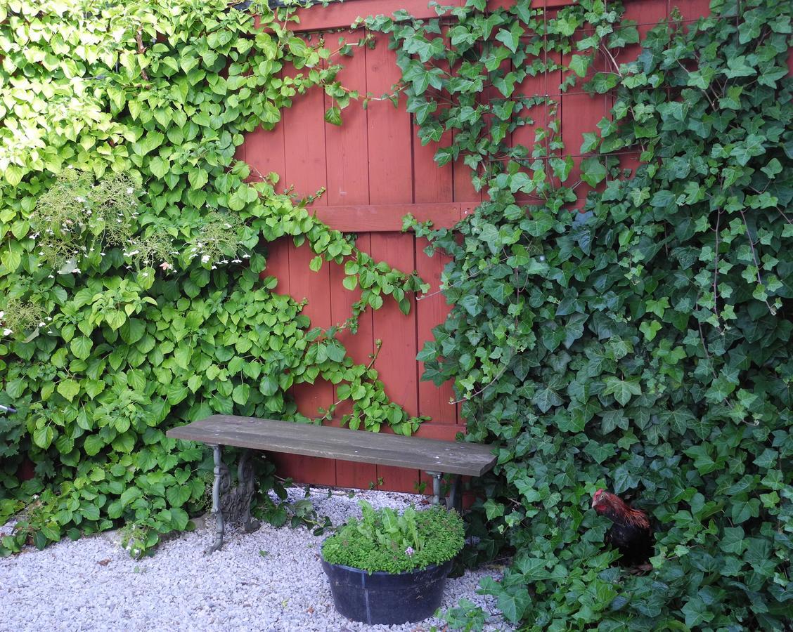 Villa Gina Oesterlen Sankt Olof Kültér fotó