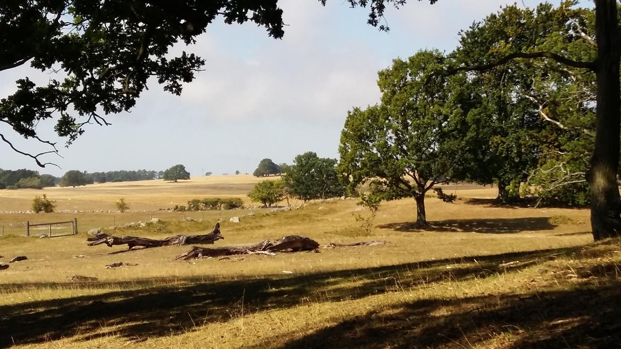 Villa Gina Oesterlen Sankt Olof Kültér fotó